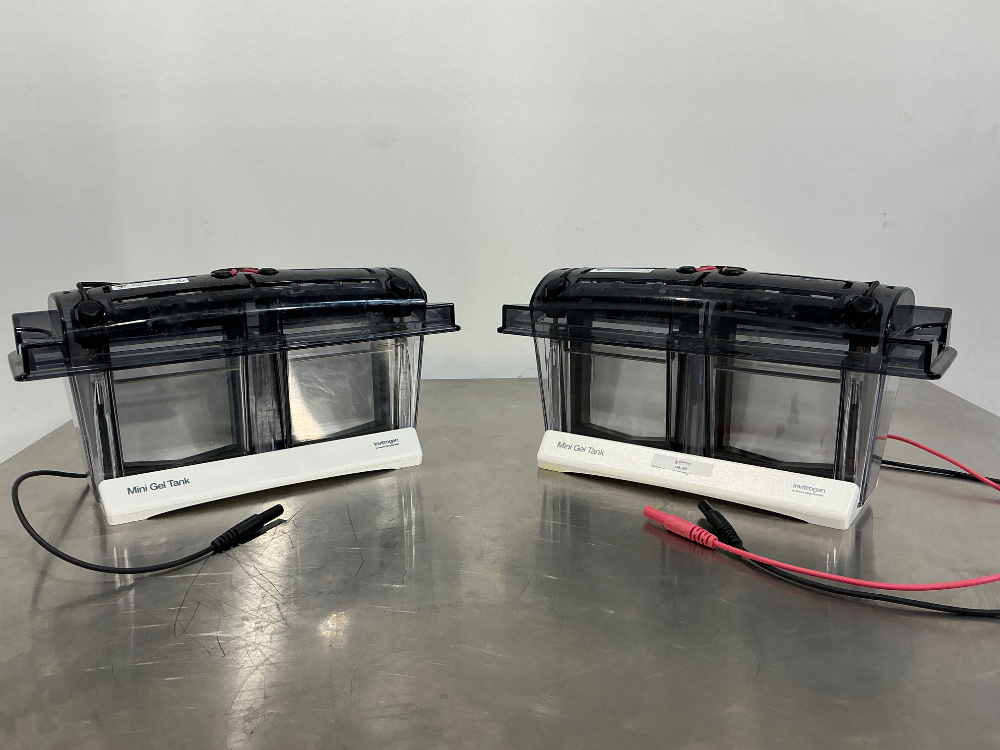 Image of Invitrogen Mini Gel Tank x2